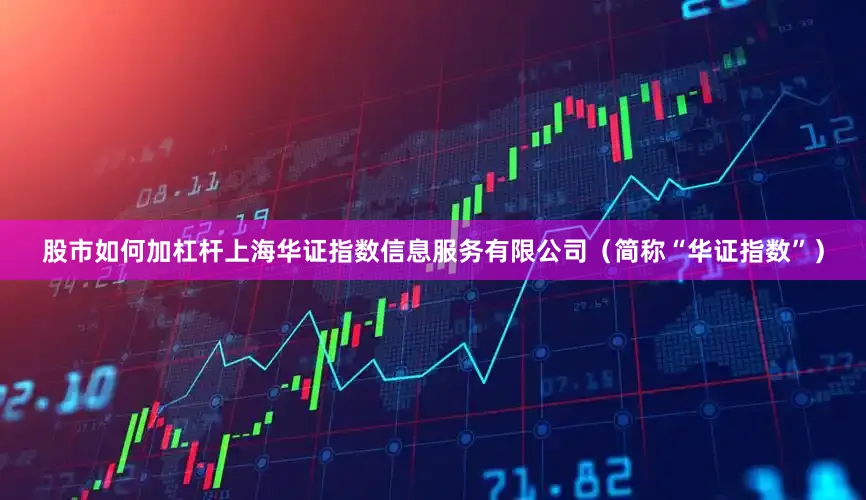 股市如何加杠杆上海华证指数信息服务有限公司（简称“华证指数”）