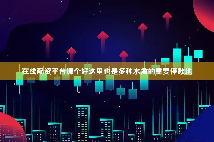 在线配资平台哪个好这里也是多种水禽的重要停歇地
