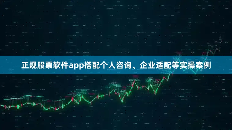 正规股票软件app搭配个人咨询、企业适配等实操案例