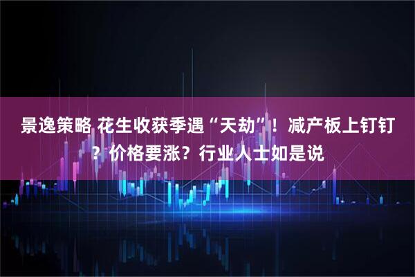 景逸策略 花生收获季遇“天劫”！减产板上钉钉？价格要涨？行业人士如是说