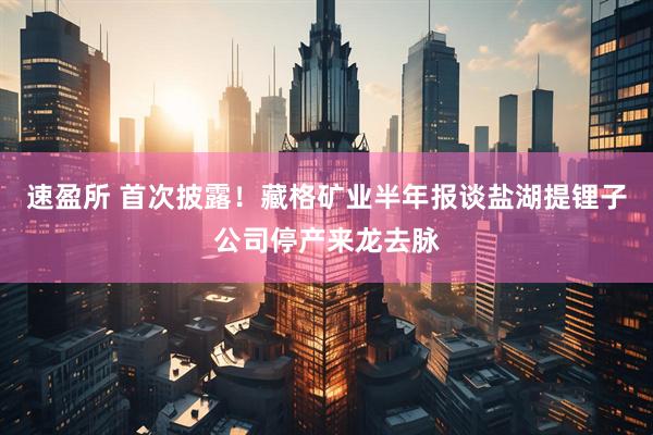 速盈所 首次披露！藏格矿业半年报谈盐湖提锂子公司停产来龙去脉