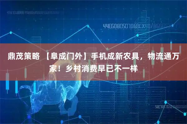 鼎茂策略 【阜成门外】手机成新农具，物流通万家！乡村消费早已不一样