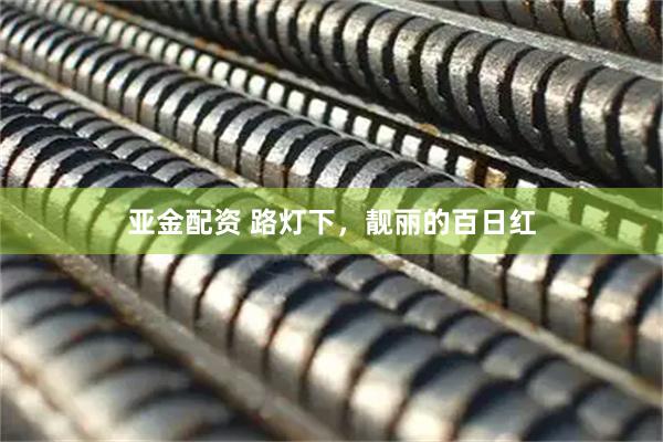 亚金配资 路灯下，靓丽的百日红